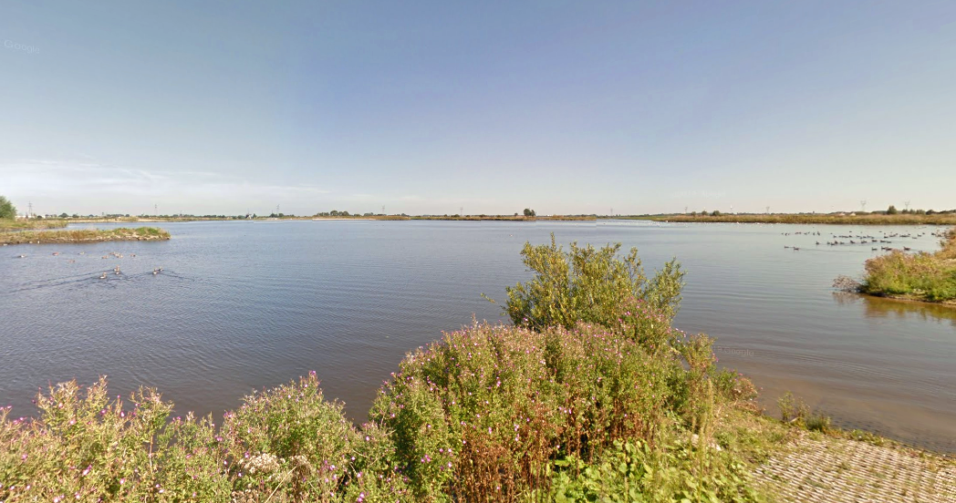 Zwemmen in de Vadedoplas