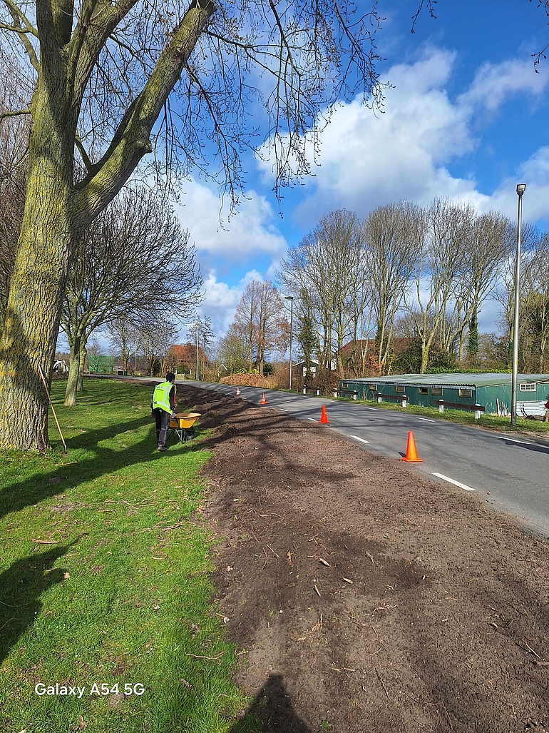 Foto medewerker die Meidoornhaag plant langs de Zijldijk
