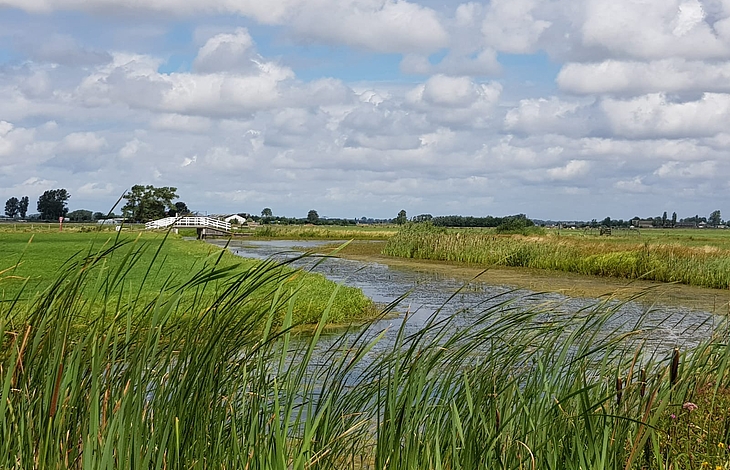 Foto van Boterhuispolder