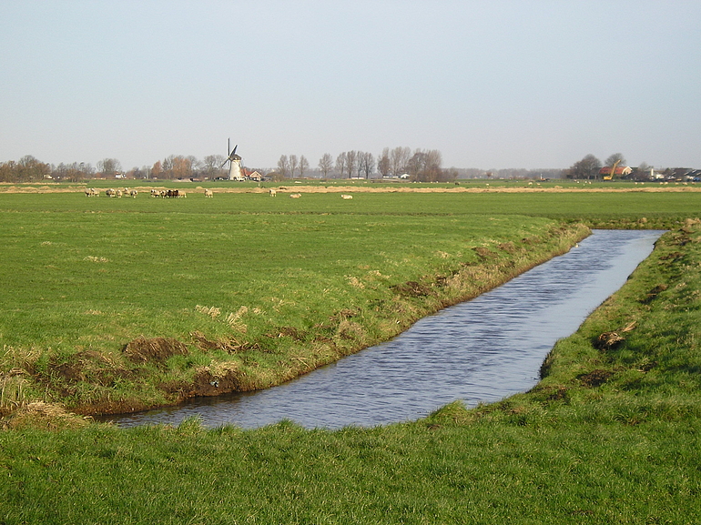 Foto van de Boterhuispolder