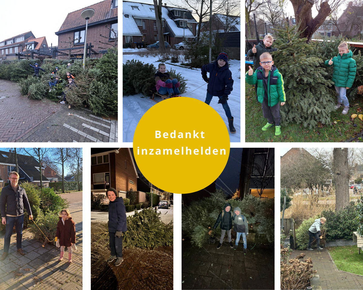 Meer dan 2000 kerstbomen ingezameld