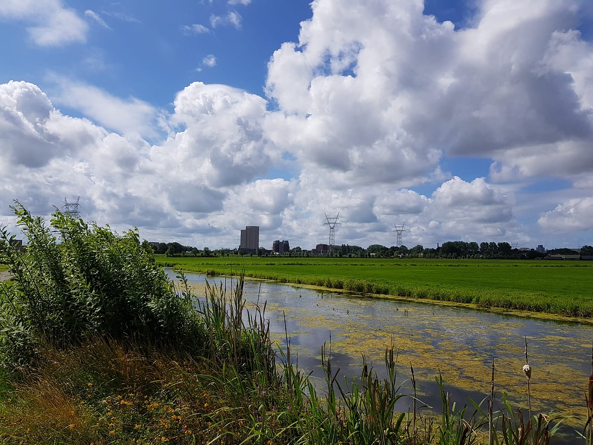 Gemeente Leiderdorp kiest voor natuur bij verpachten Boterhuispolder