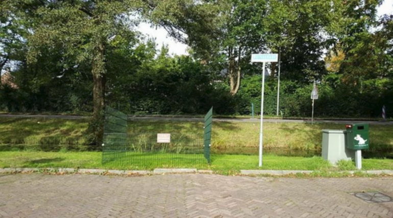Foto van een bladkorf